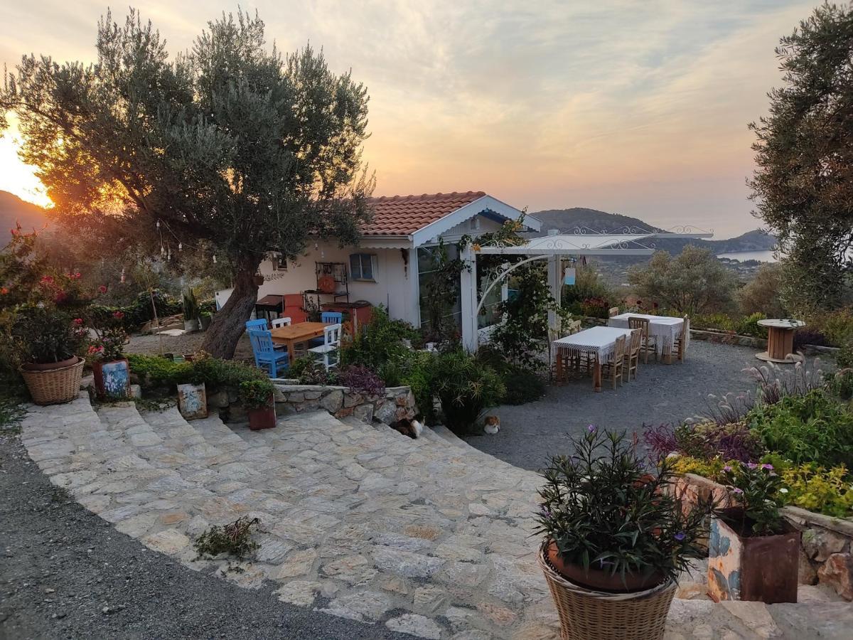 Mavi Kelebek Datca Datça Exterior foto