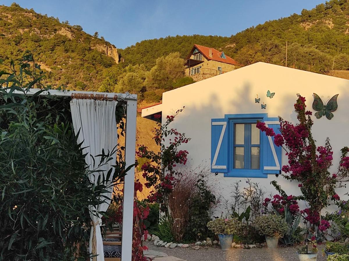 Mavi Kelebek Datca Datça Exterior foto