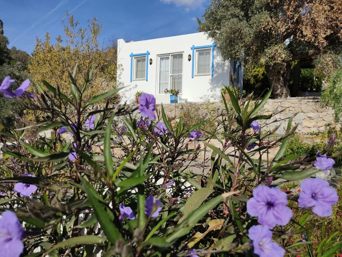 Mavi Kelebek Datca Datça Exterior foto