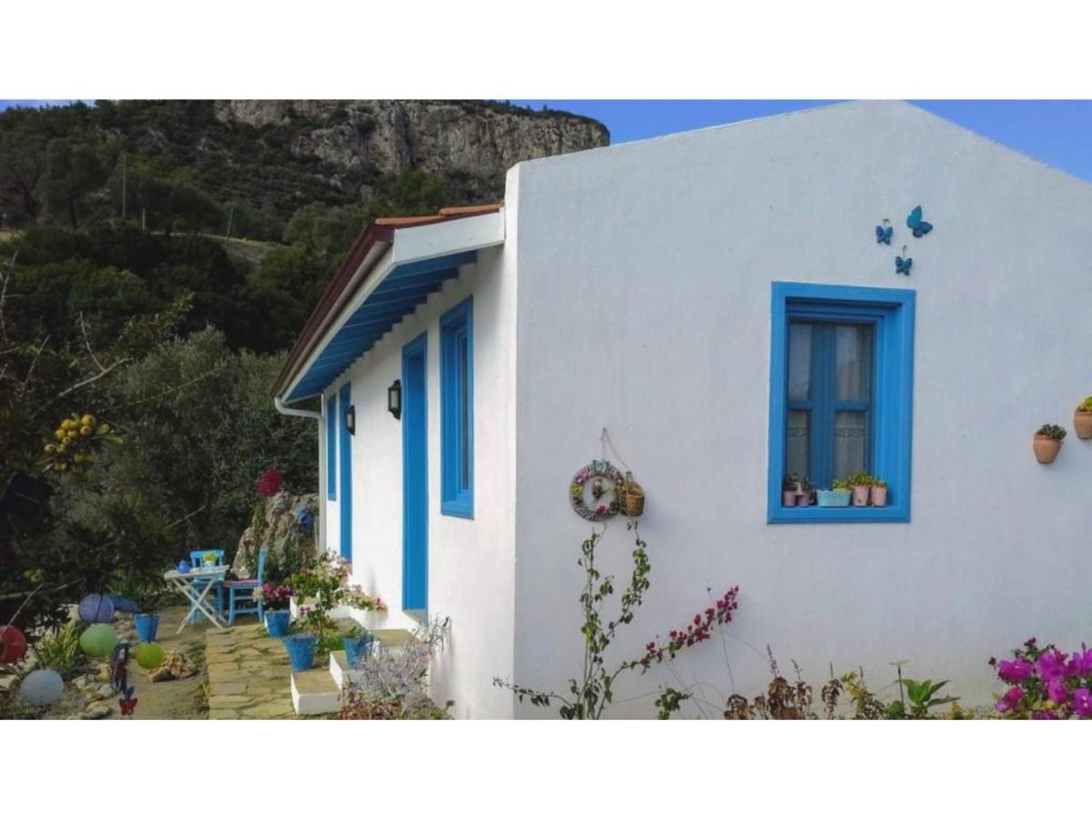 Mavi Kelebek Datca Datça Exterior foto