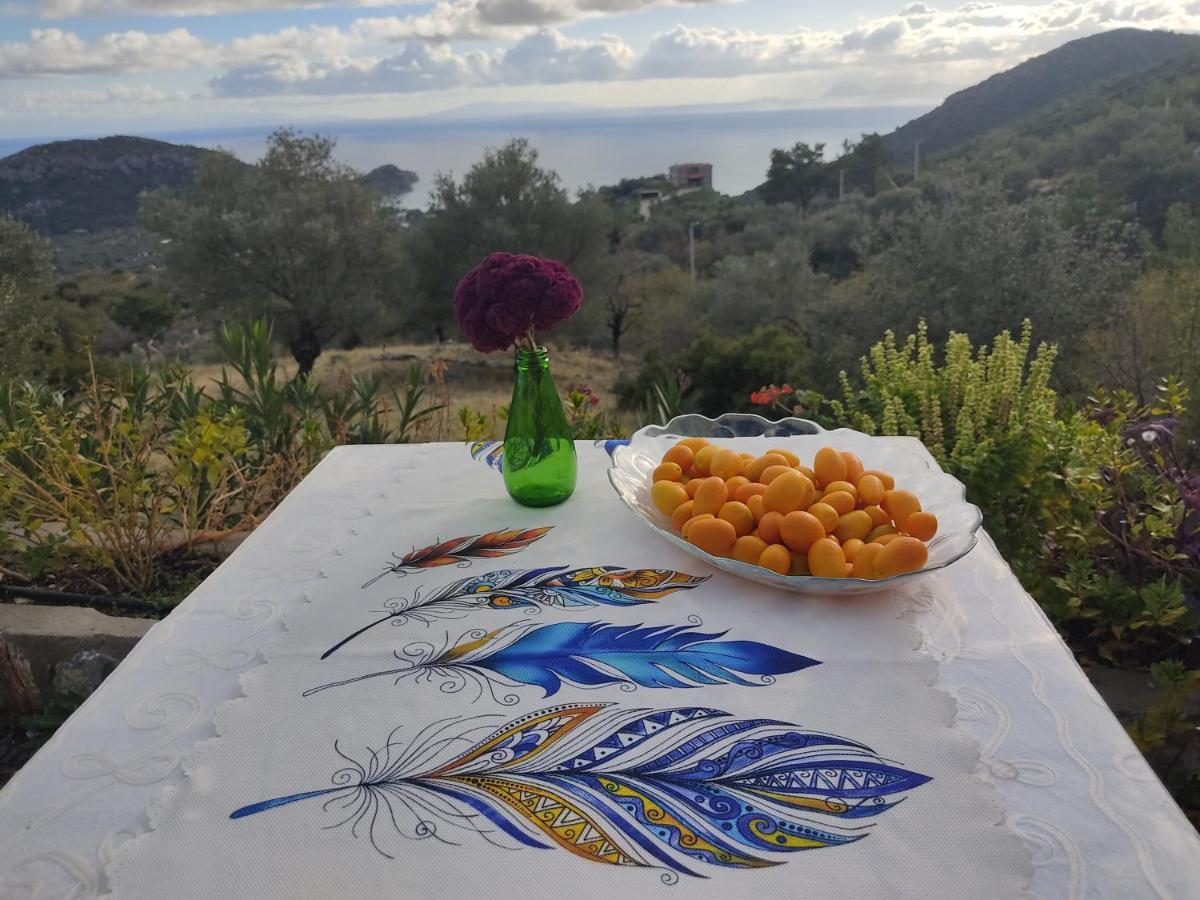 Mavi Kelebek Datca Datça Exterior foto