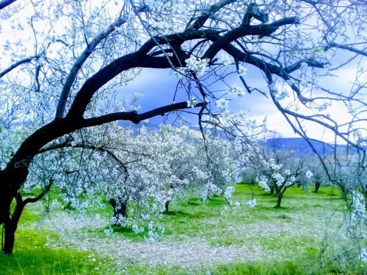 Mavi Kelebek Datca Datça Exterior foto