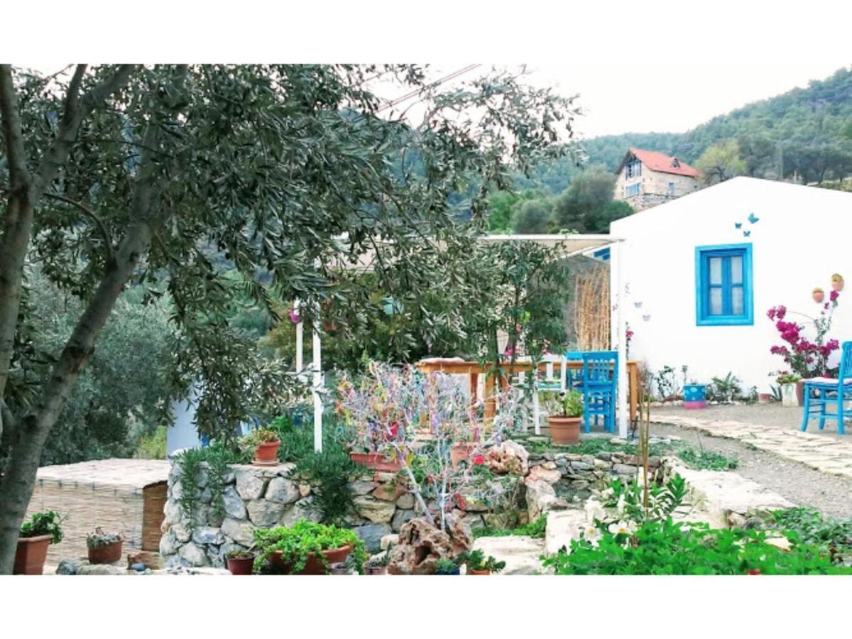 Mavi Kelebek Datca Datça Exterior foto