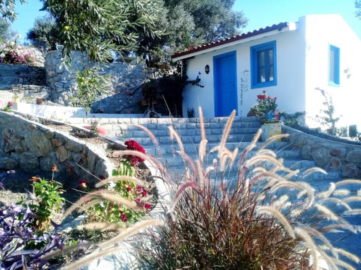 Mavi Kelebek Datca Datça Exterior foto