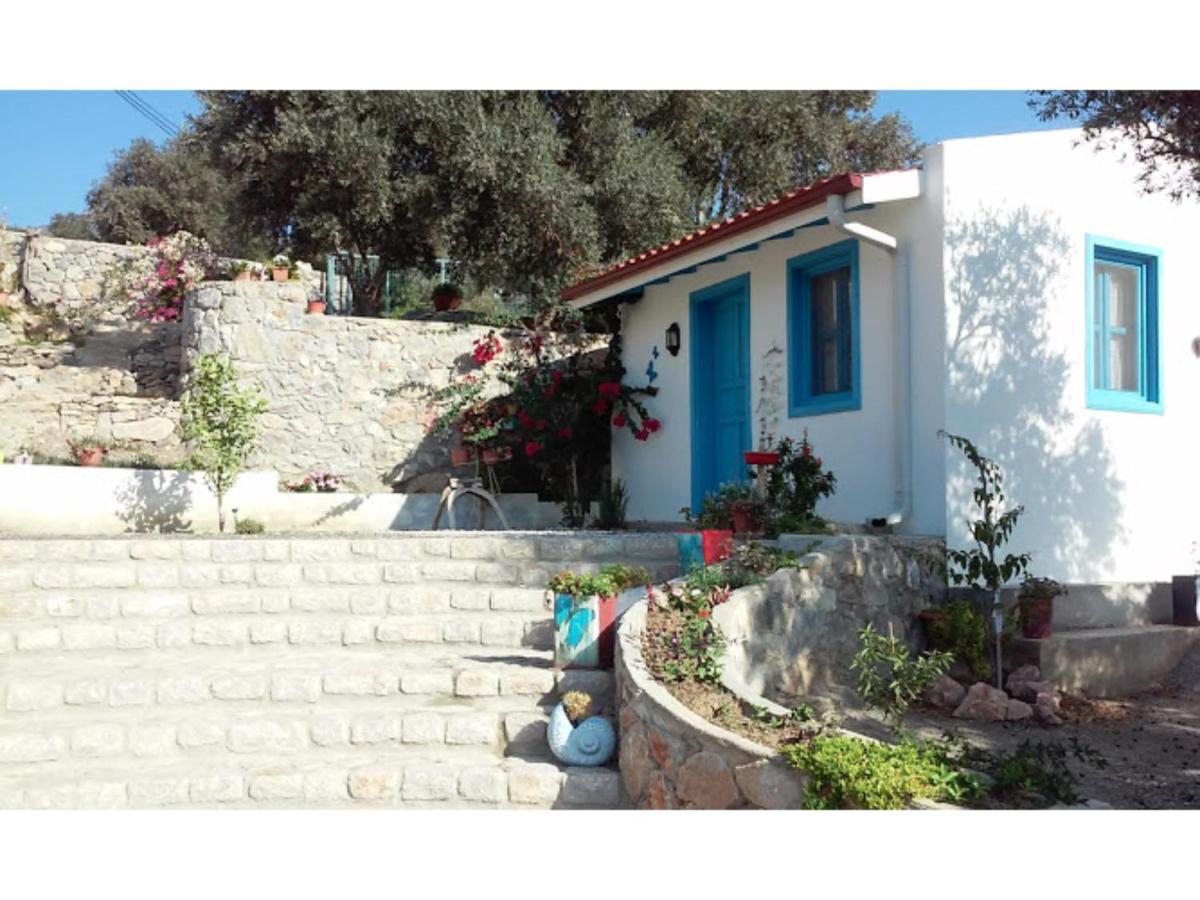 Mavi Kelebek Datca Datça Exterior foto
