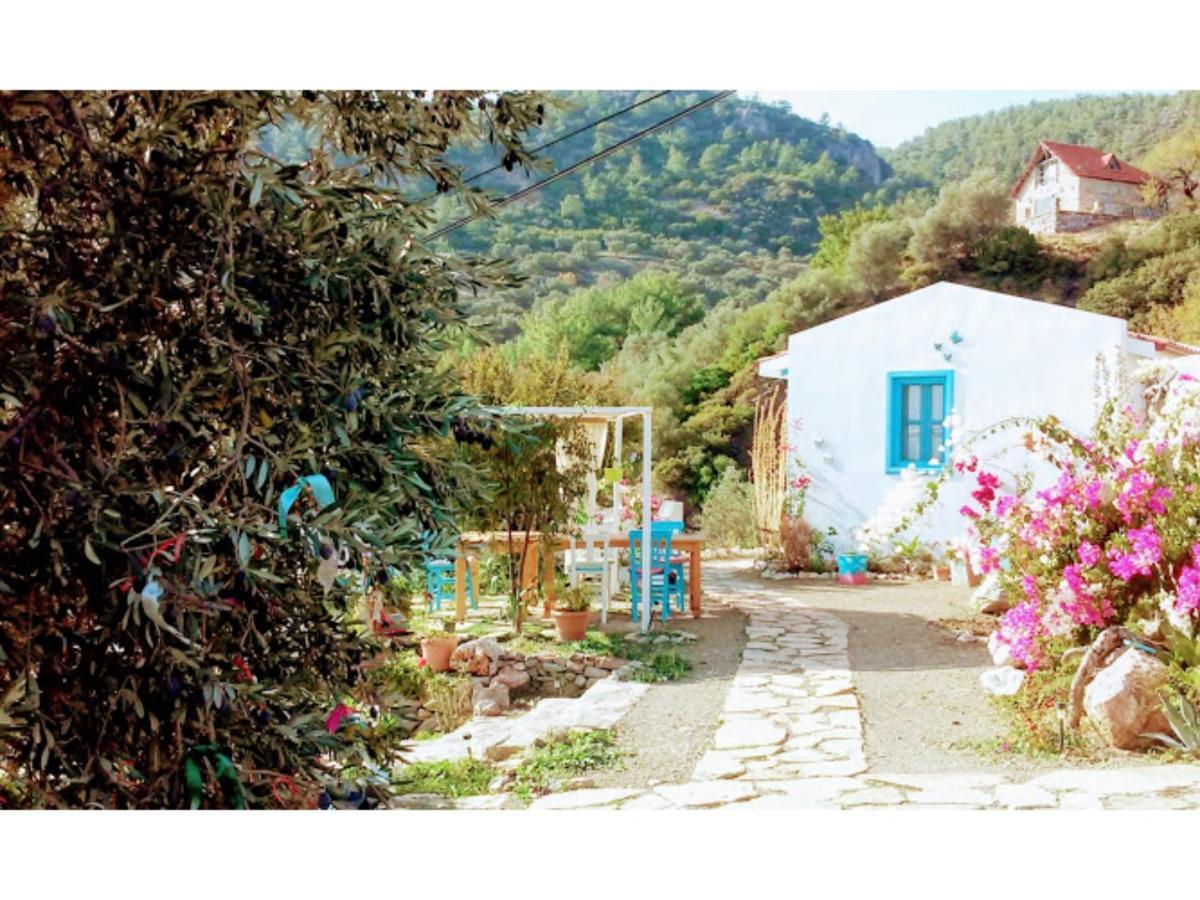 Mavi Kelebek Datca Datça Exterior foto