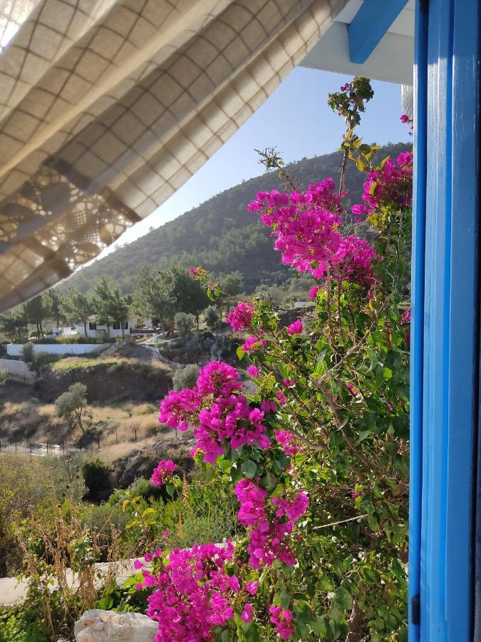 Mavi Kelebek Datca Datça Exterior foto
